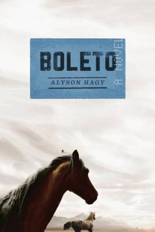 Book Boleto Alyson Hagy