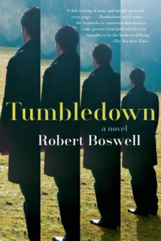 Kniha Tumbledown Robert Boswell