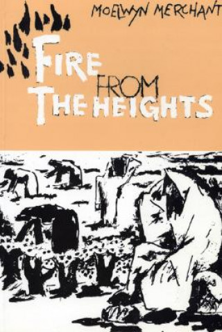 Könyv Fire from the Heights Moelwyn Merchant