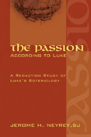 Kniha Passion According to Luke Jerome H. Neyrey