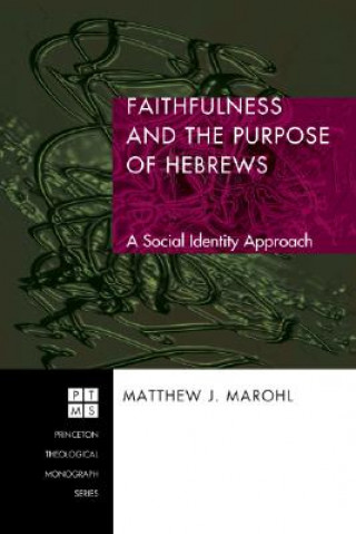 Kniha Faithfulness and the Purpose of Hebrews Matthew J. Marohl