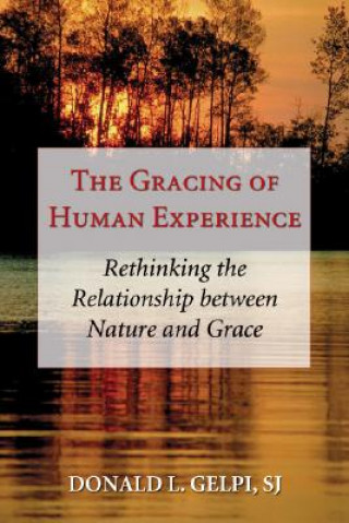 Knjiga Gracing of Human Experience Donald L. Gelpi