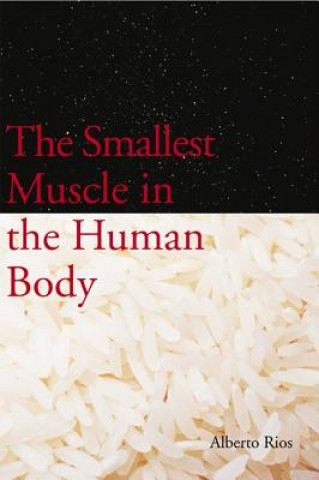 Könyv Smallest Muscle in the Human Body Alberto Rios