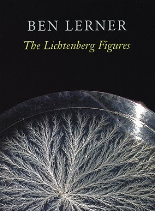 Kniha Lichtenberg Figures Ben Lerner