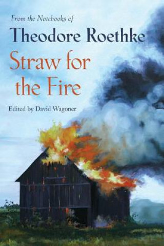 Kniha Straw for the Fire David Wagoner