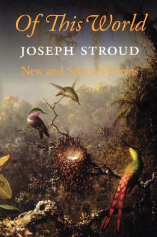 Libro Of This World Joseph Stroud