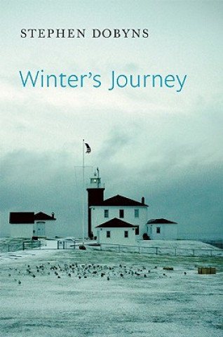 Könyv Winter's Journey Stephen Dobyns