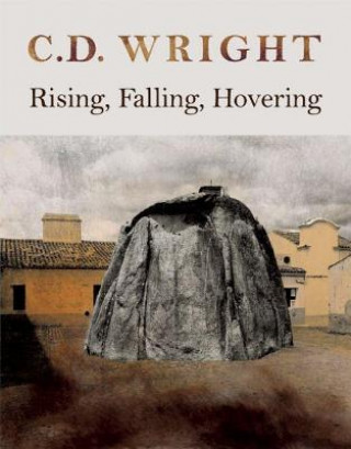 Kniha Rising, Falling, Hovering C. D. Wright