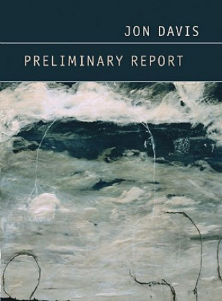 Knjiga Preliminary Report Jon Davis
