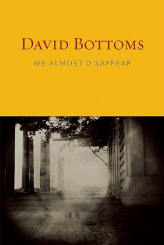 Book We Almost Disappear David Bottoms