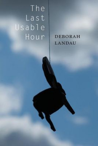 Buch Last Usable Hour Deborah Landau