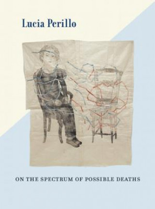 Kniha On the Spectrum of Possible Deaths Lucia Perillo