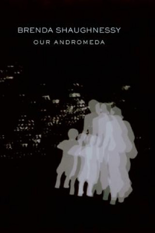 Kniha Our Andromeda Brenda Shaughnessy