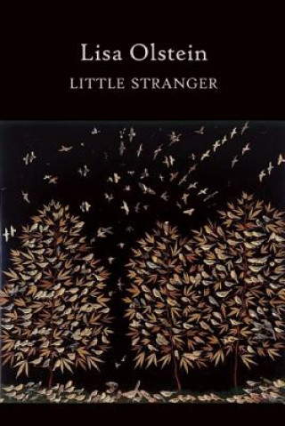 Livre Little Stranger Lisa Olstein