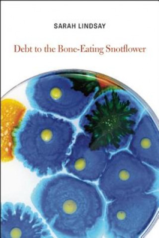 Книга Debt to the Bone-Eating Snotflower Sarah Lindsay