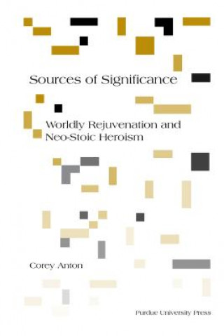 Kniha Sources of Significance: Worldly Rejuvenation and Neo-Stoic Heroism Corey Anton