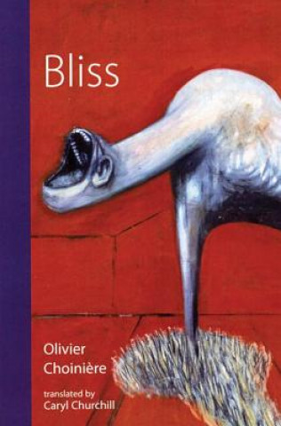 Könyv Bliss Olivier Choiniere