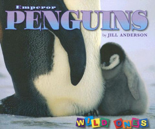 Knjiga Emperor Penguins Jill Anderson