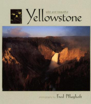 Libro Yellowstone Wild and Beautiful Fred Pflughoft