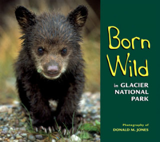 Carte Born Wild in Glacier National Park Jones