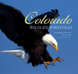 Könyv Colorado Wildlife Portfolio Kline