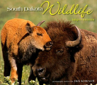 Book South Dakota Wildlife Impressions Dick Kettlewell