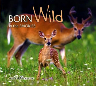 Carte Born Wild in the Smokies Ann Simpson