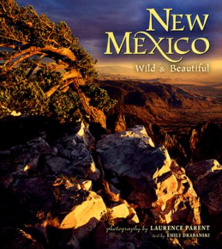Carte New Mexico Wild & Beautiful Emily Drabanski