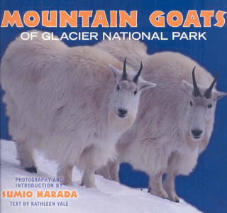 Buch Mountain Goats of Glacier National Park Kathleen Yale