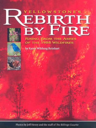 Könyv Yellowstone's Rebirth by Fire: Rising from the Ashes of the 1988 Wildfires Karen Wildung Reinhart