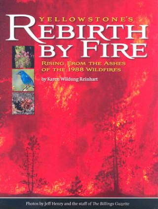 Kniha Yellowstone's Rebirth by Fire: Rising from the Ashes of the 1988 Wildfires Karen Wildung Reinhart