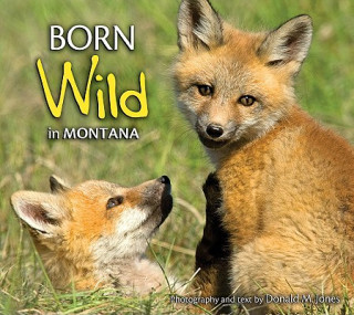 Carte Born Wild in Montana Donald M. Jones