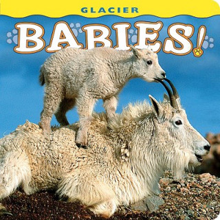 Könyv Glacier Babies! Wendy Shattil