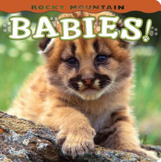 Carte Rocky Mountain Babies! Wendy Shattil