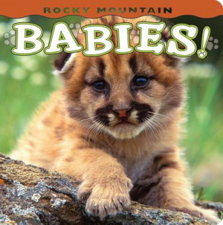 Livre Rocky Mountain Babies! Wendy Shattil