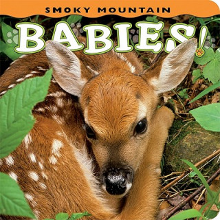 Książka Smoky Mountain Babies! Ann Simpson