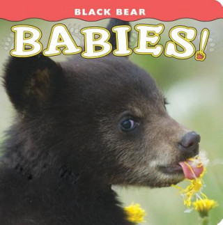 Knjiga Black Bear Babies! Donald M. Jones