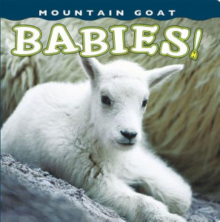 Kniha Mountain Goat Babies! Sumio Harada