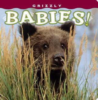 Книга Grizzly Babies! Henry H. Holdsworth