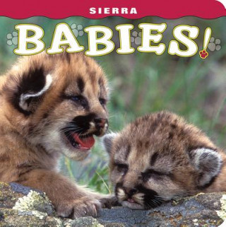 Könyv Sierra Babies! Wendy Shattil