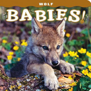 Boek Wolf Babies! Lisa Husar