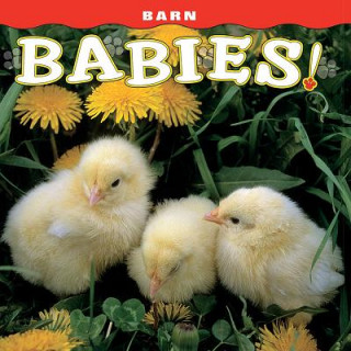 Livre Barn Babies! Farcountry Press