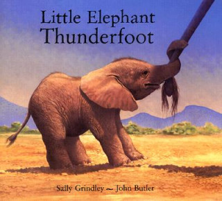 Książka Little Elephant Thunderfoot Sally Grindley