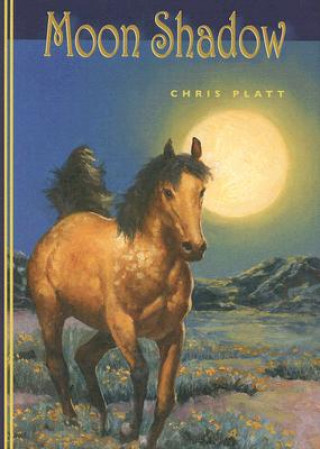 Knjiga Moon Shadow Chris Platt