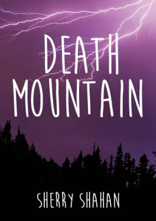 Kniha Death Mountain Sherry Shahan