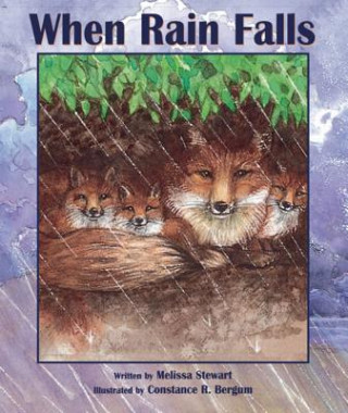Libro When Rain Falls Melissa Stewart