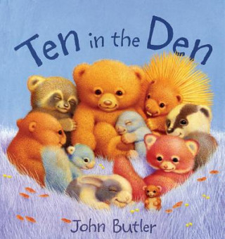 Knjiga Ten in the Den John Butler