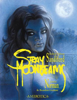 Книга Stray Moonbeams Robert Edison Sandiford