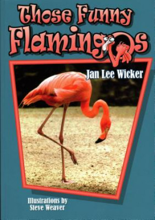 Carte Those Funny Flamingos Jan Lee Wicker