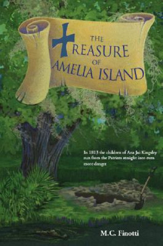 Buch Treasure of Amelia Island M. C. Finotti